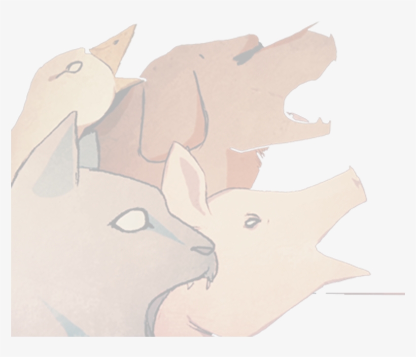 "l'élevage Animal Est Non Seulement Une Souffrance - Rhinoceros, transparent png