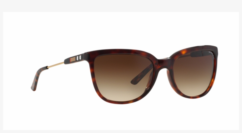 Reflection, transparent png