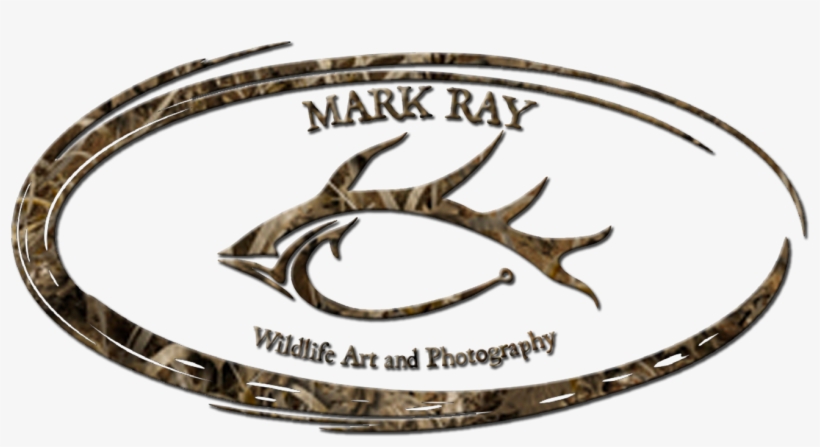 Mark Ray Studio - Emblem, transparent png