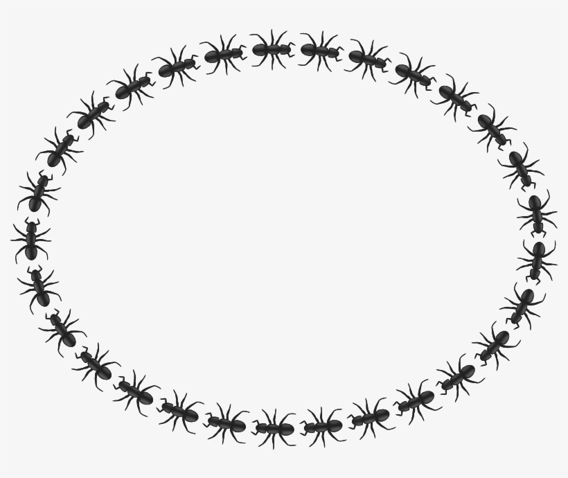 Ant Border Ellipse - Marriage Logo Clip Art, transparent png