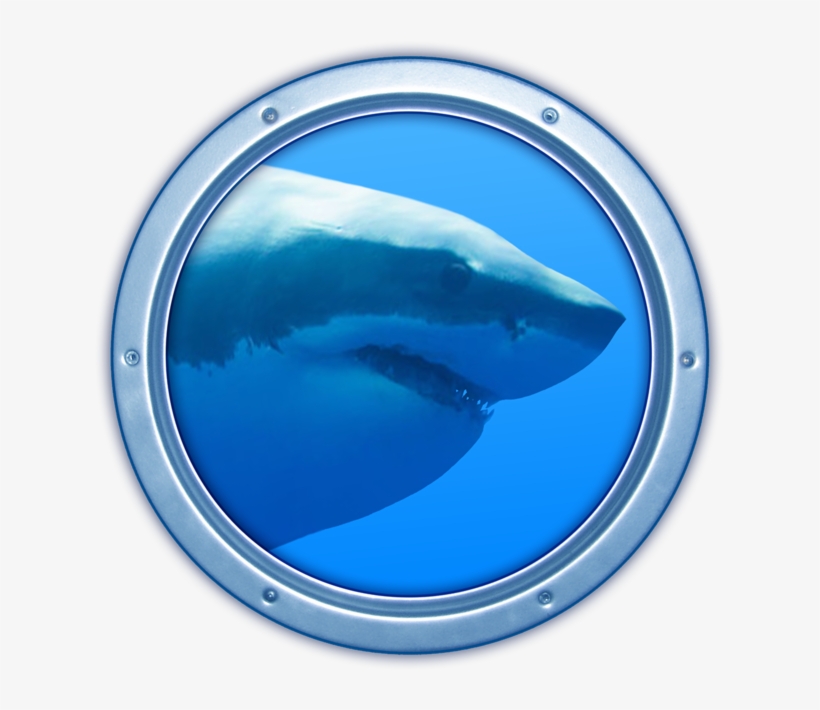 Sharks 3d On The Mac App Store - Wallpaper, transparent png