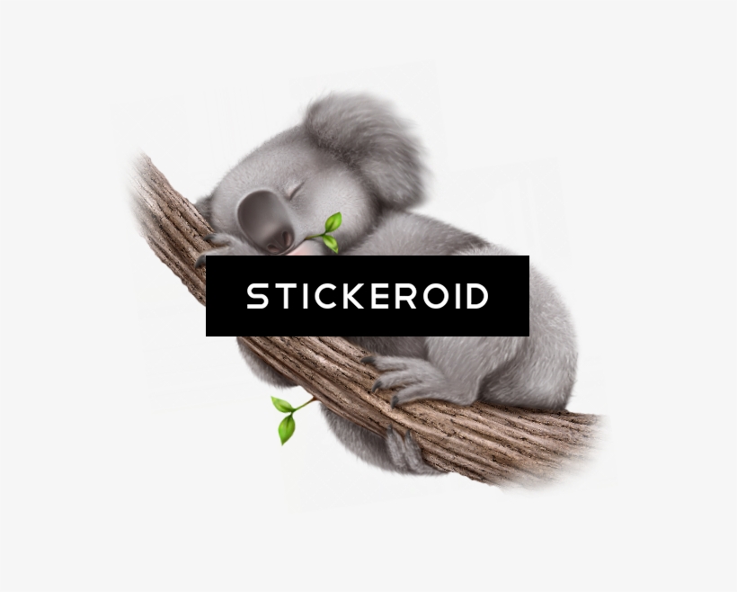 Koala - Duke Nukem Forever Box Art, transparent png