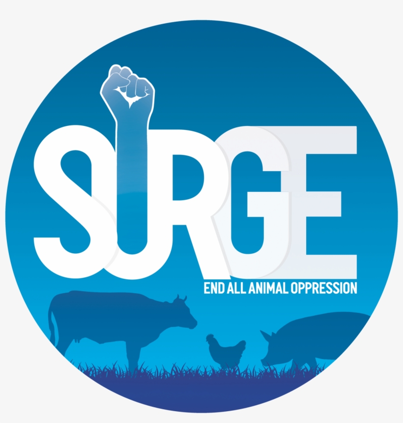 Surge Activism, transparent png