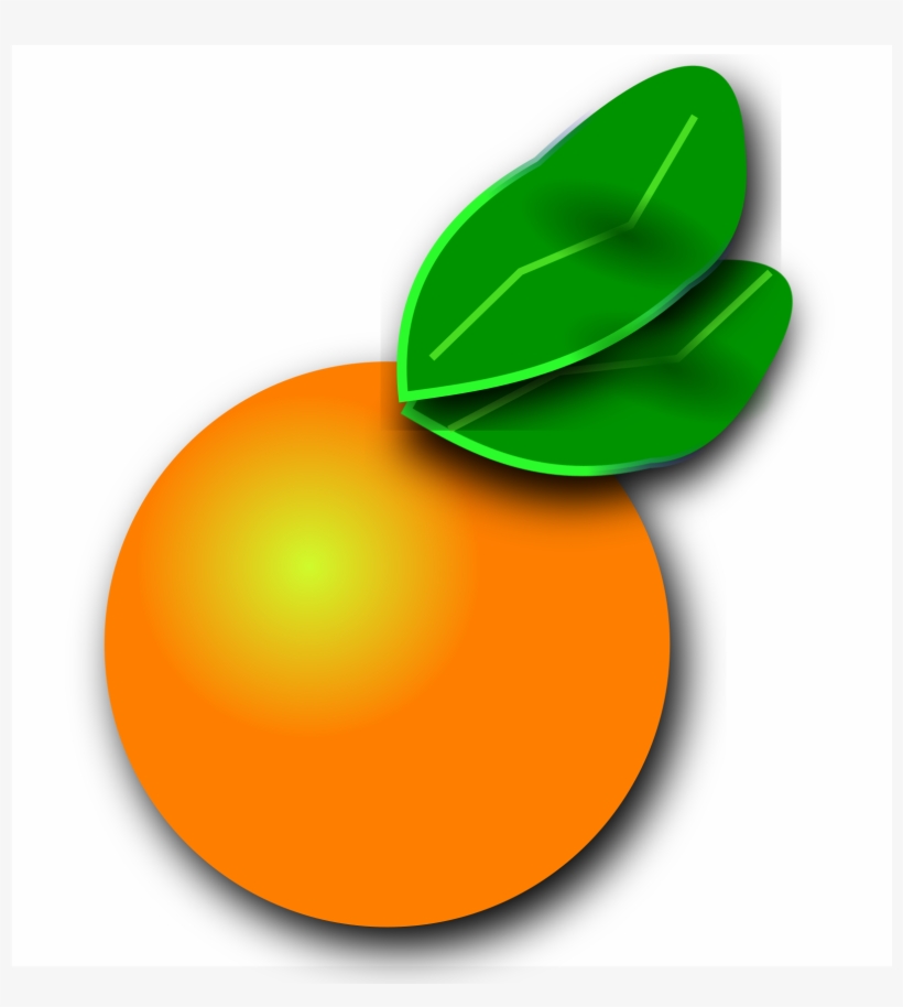 Big Image - Florida Orange Png, transparent png