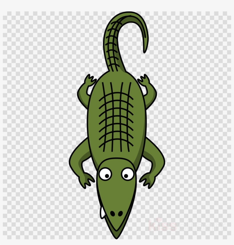 Alligator Clip Art, transparent png