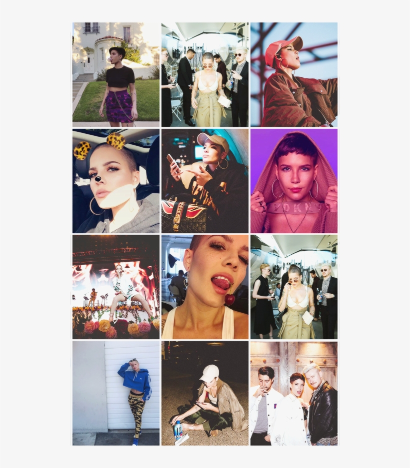 Instagram Photoshoot Meme Nwetss Halsey Pictures Instagram - Instagram, transparent png