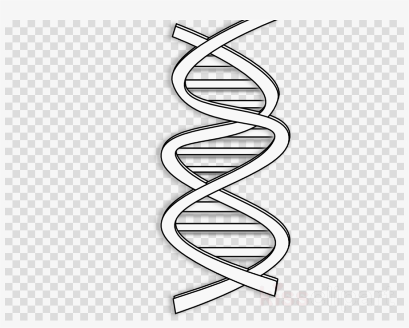 White Dna Clipart Dna Clip Art - Chibi Star War Png, transparent png