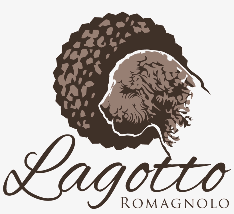 Breeder Of The Lagotto Romagnolo, The Italian Truffle - Coloring For Adults: Ladies, A Coloring Book, transparent png
