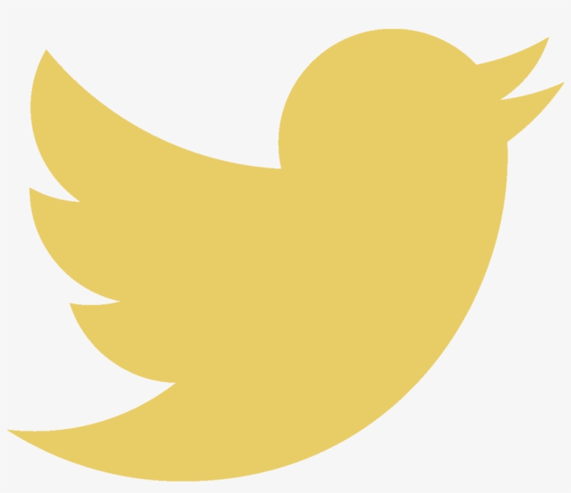 Twittericon - Transparent White Bird Twitter, transparent png