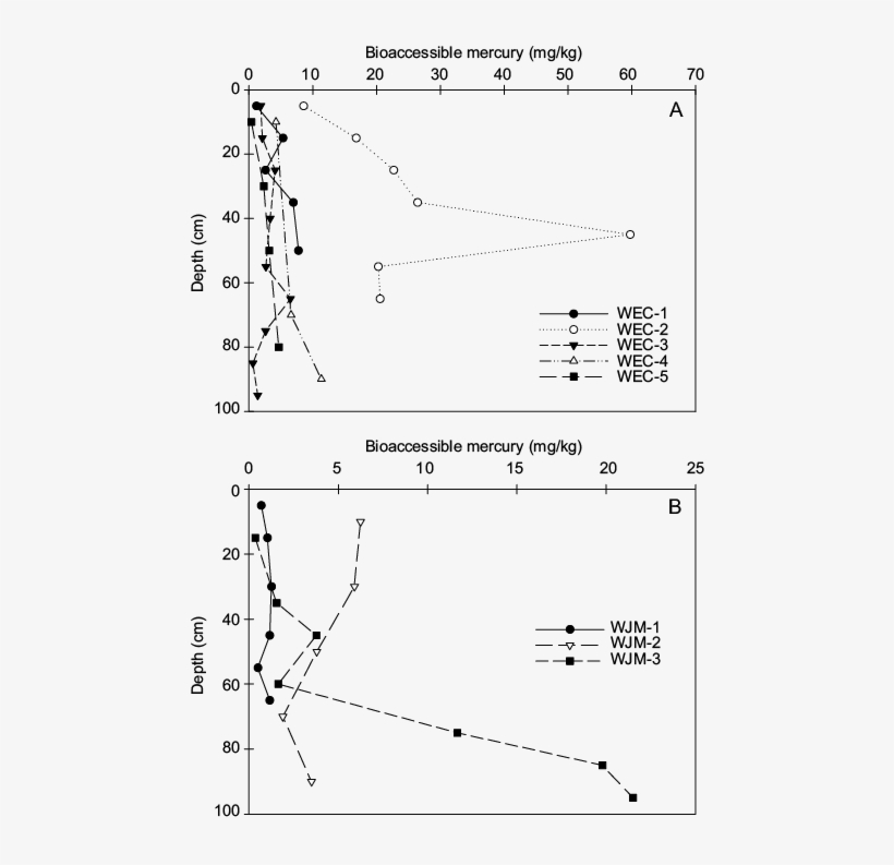 Variations In The Bioaccessible Mercury Concentrations - Diagram, transparent png