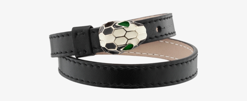 Buckle, transparent png