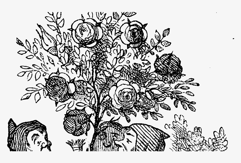 Jonathan Green, Author - Alice's Adventures In Wonderland Cards, transparent png