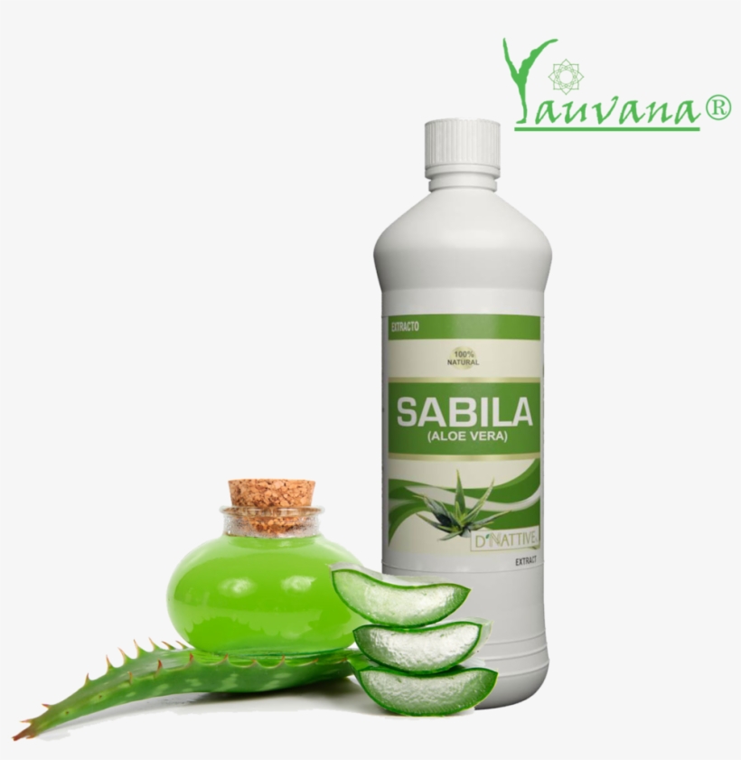 Yauvana S - A - C - Aloe Vera / Sábila Extracto - Oferta - Derivado De La Sabila, transparent png