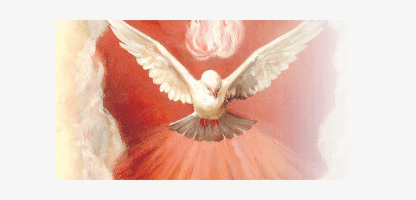 Confirmacion Png, transparent png