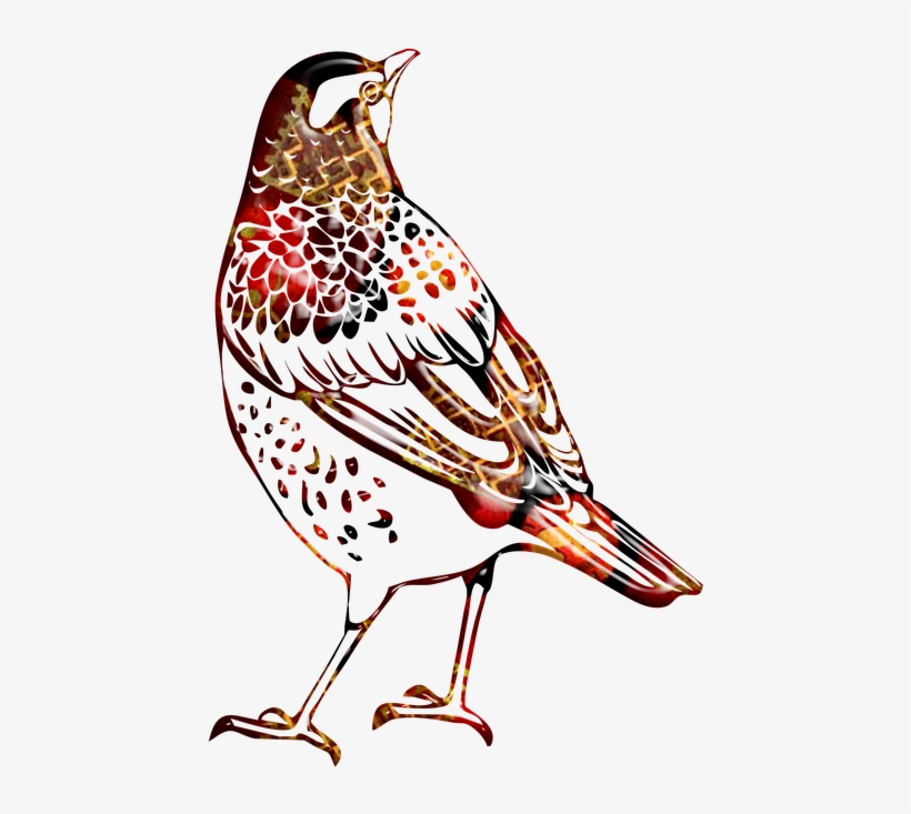 Free Download Watercolor Painting Clipart Bird Watercolor - Cafepress ! Iphone 7 Tough Case, transparent png