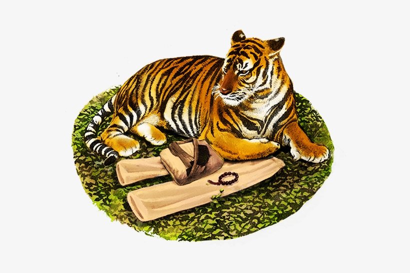 Watercolor Paper, Ink And Photoshop - Siberian Tiger, transparent png
