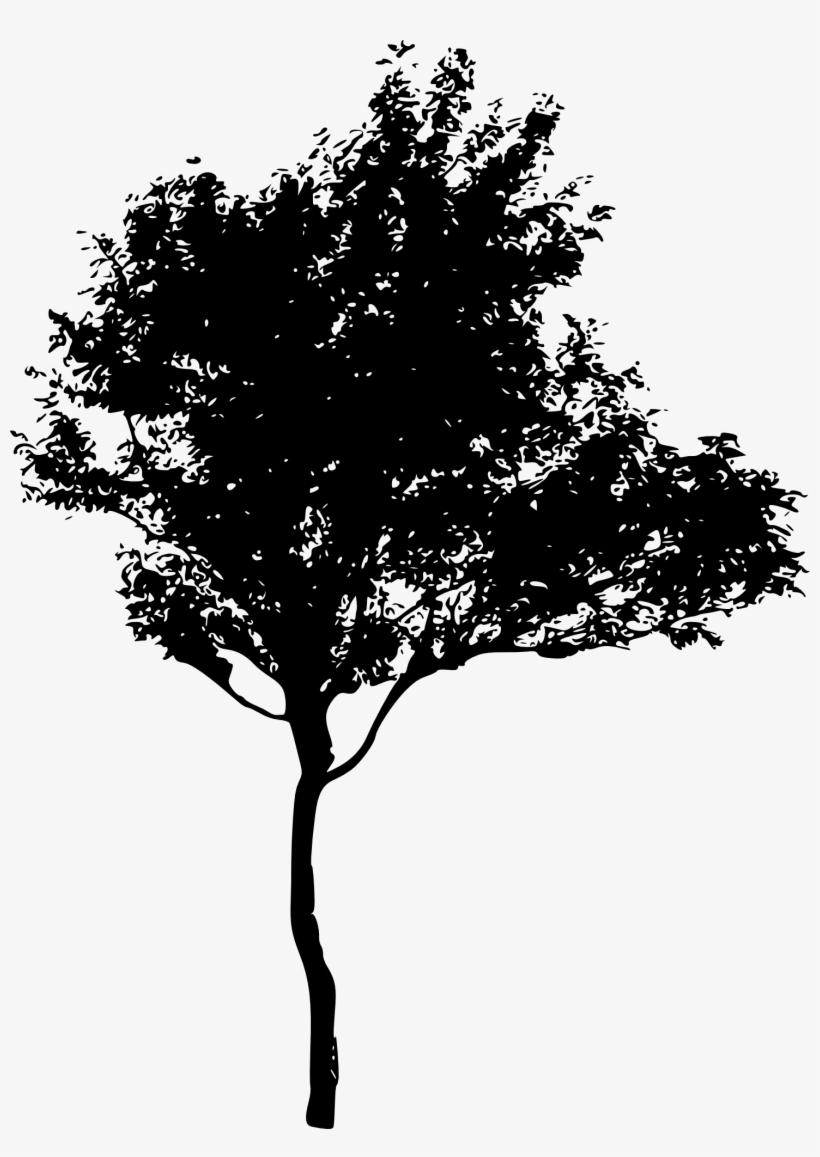 Free Download - Silhouette Of Trees Png, transparent png