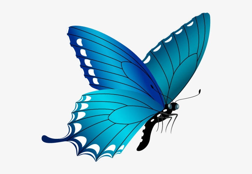 Blue Butterfly Png Image - Free Butterfly Clipart Png, transparent png