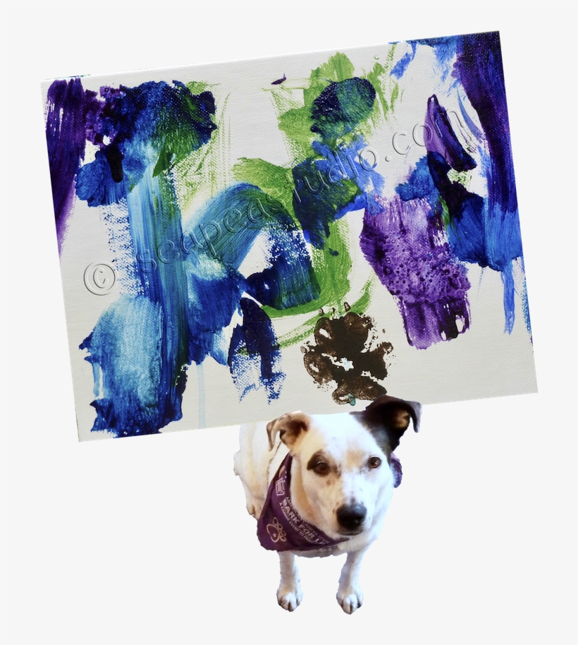 Pit Bull, transparent png