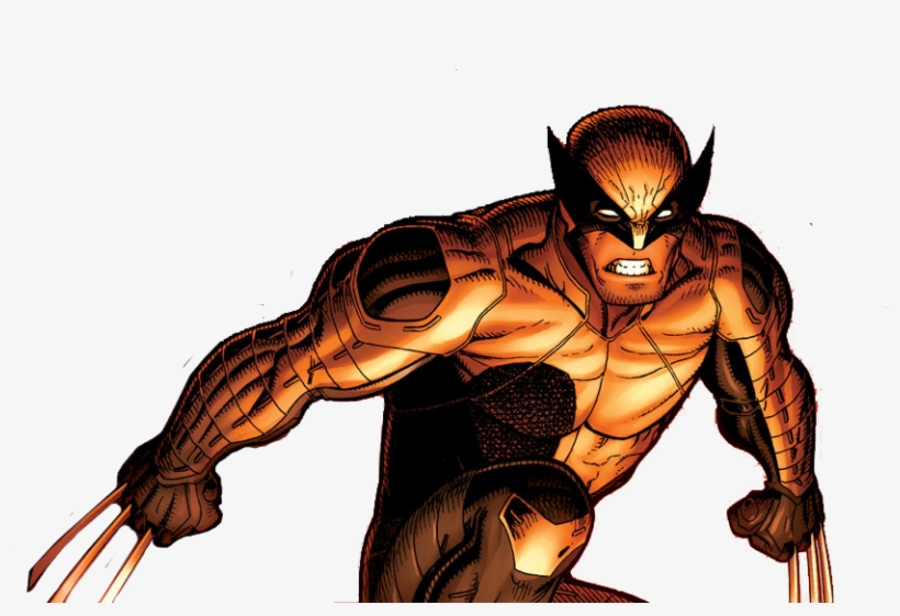 Wolverine Png, transparent png