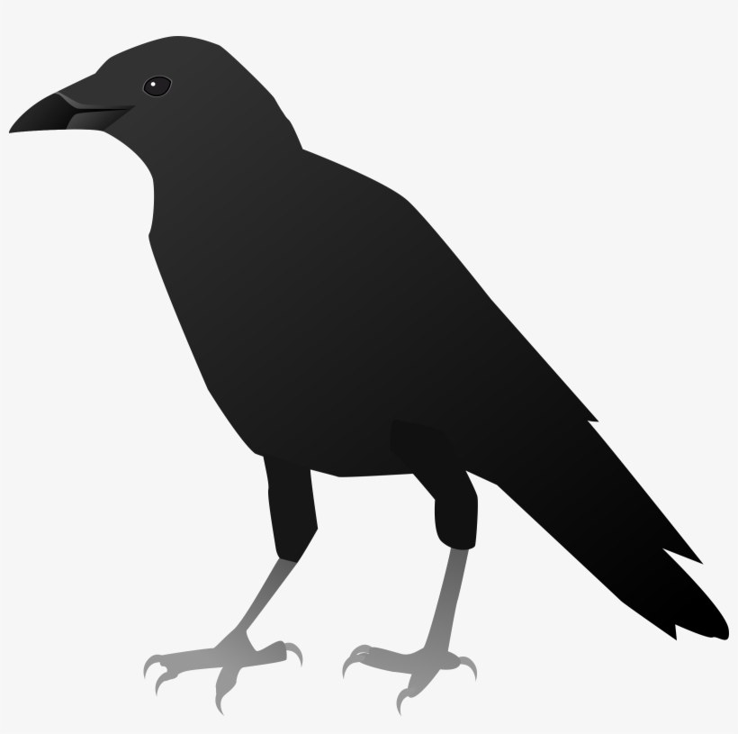 Png Free Stock - Crow Hd Image Clipart, transparent png