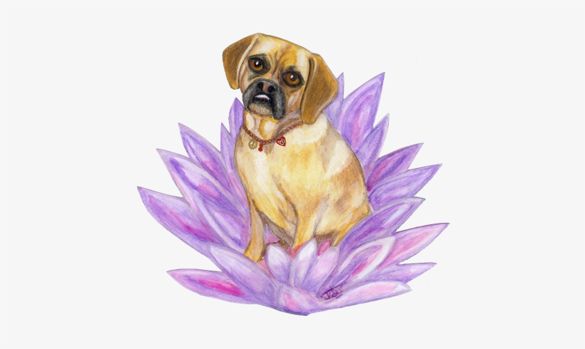 Allow Me To Create Custom “dog Tags” For You, Your - Wholesaling, transparent png