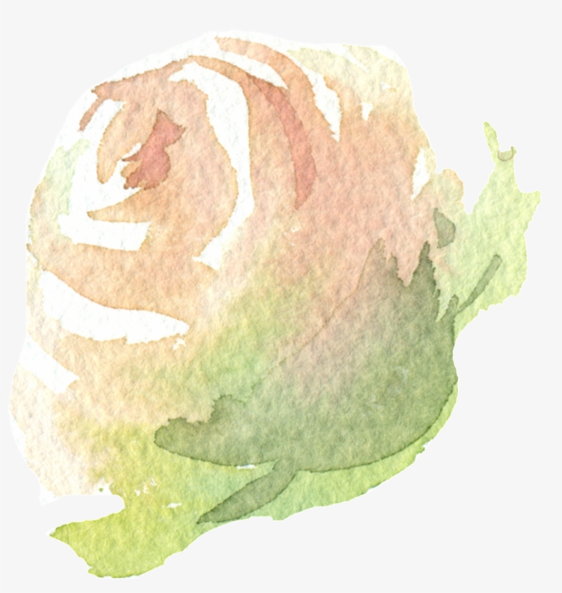 Hand Painted A Champagne Rose Png Transparent - Portable Network Graphics, transparent png