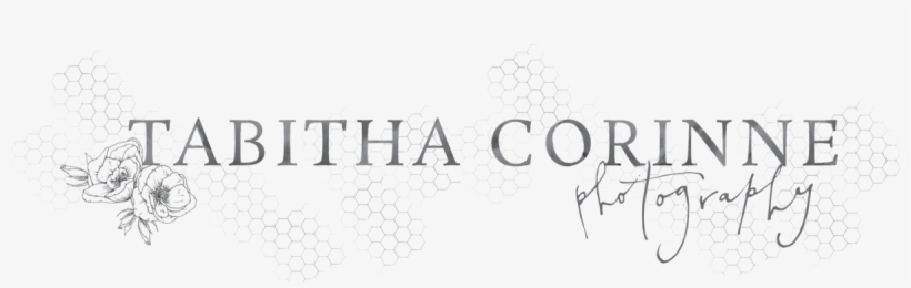Tabitha Corinne Photography New Primary Logo Gray - Parallel, transparent png