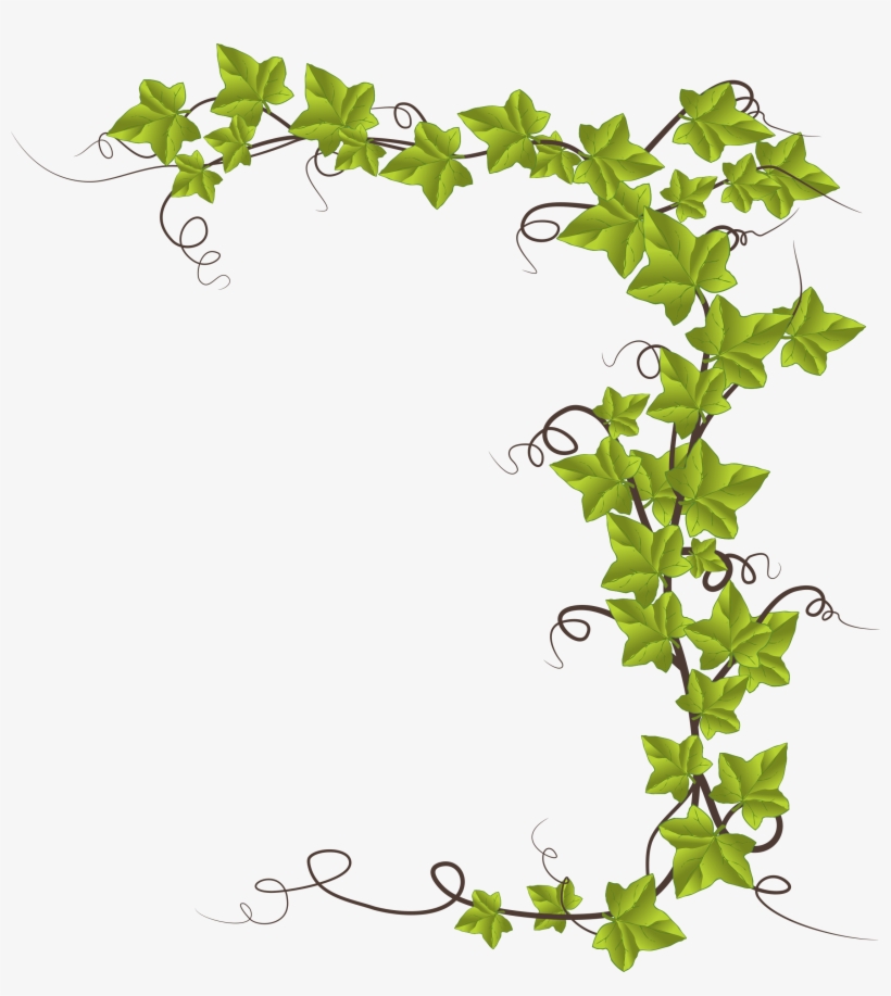 Picture Library Stock By Conte Magnus Hedera Helix - Monkeyshine Wine I Do Yoga - Just Kidding I Drink Wine, transparent png