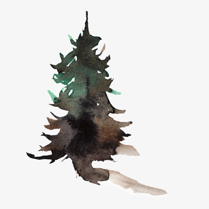 This Graphics Is Creative Pine Transparent Watercolor - Watercolor Painting, transparent png