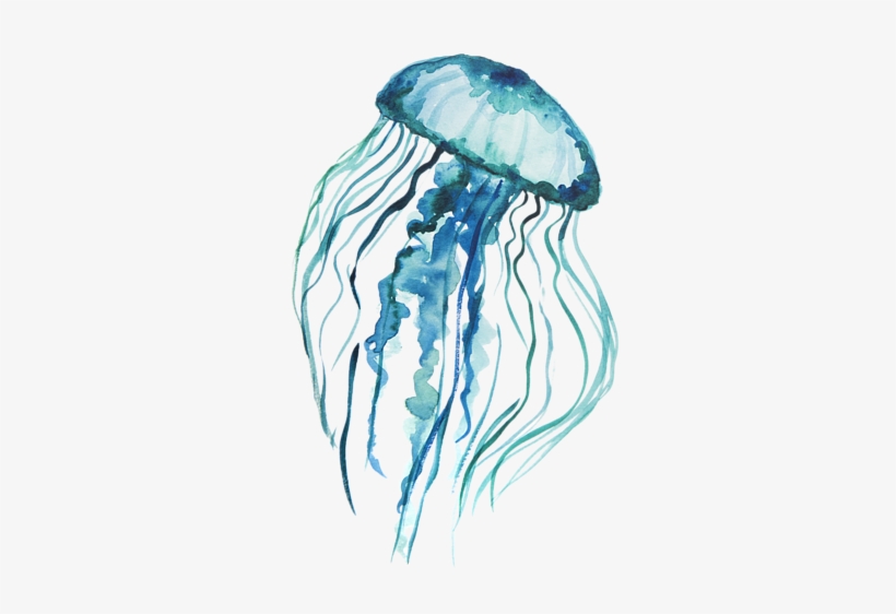 Click And Drag To Re-position The Image, If Desired - Watercolor Jellyfish, transparent png