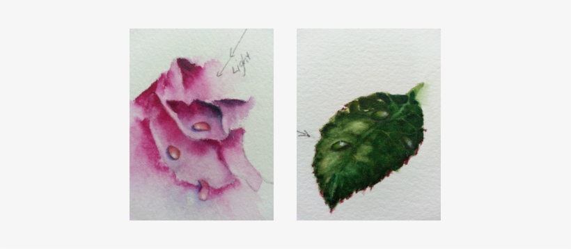 When The Drop Is Bone Dry, Mix A Small Amount Of Local - Water Droplet Flowers Png, transparent png
