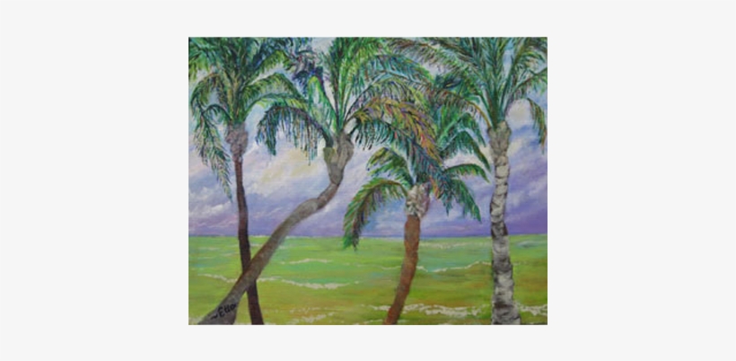 Ella Chabot Shot By Ella Photoart, L - Attalea Speciosa, transparent png