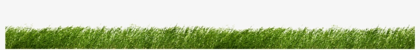 Two Very Refreshing Guys - Sweet Grass, transparent png