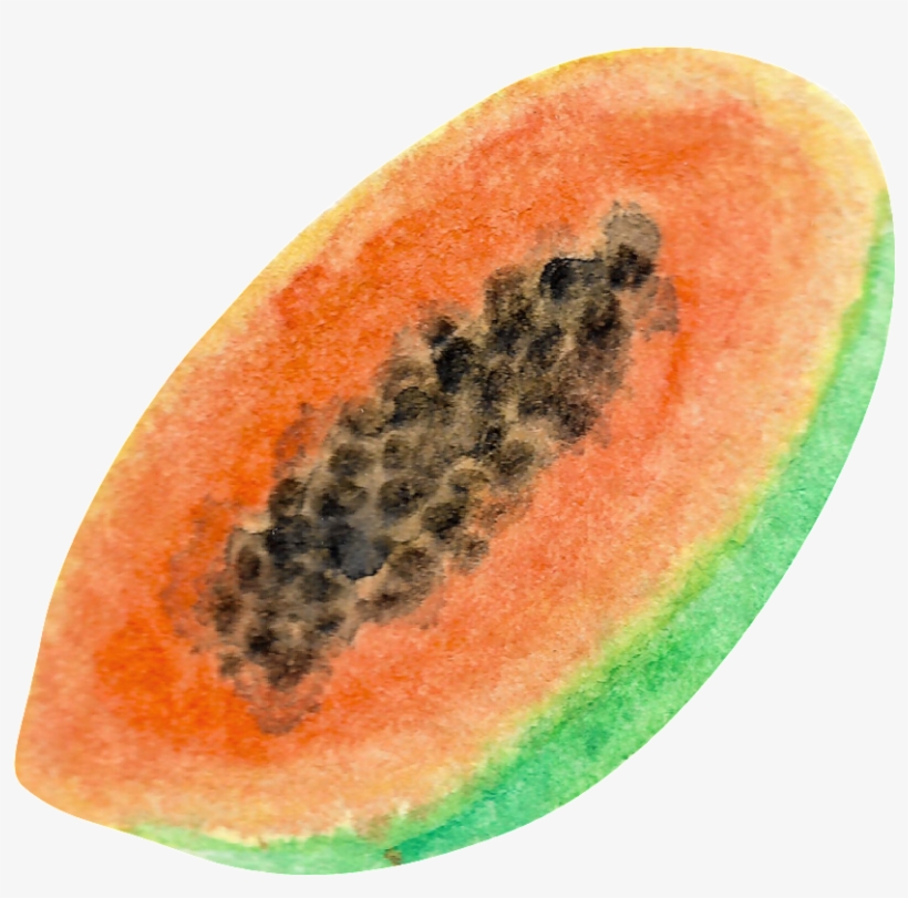 This Graphics Is Watercolor Hand Painted Half Papaytransparent - Fruit, transparent png