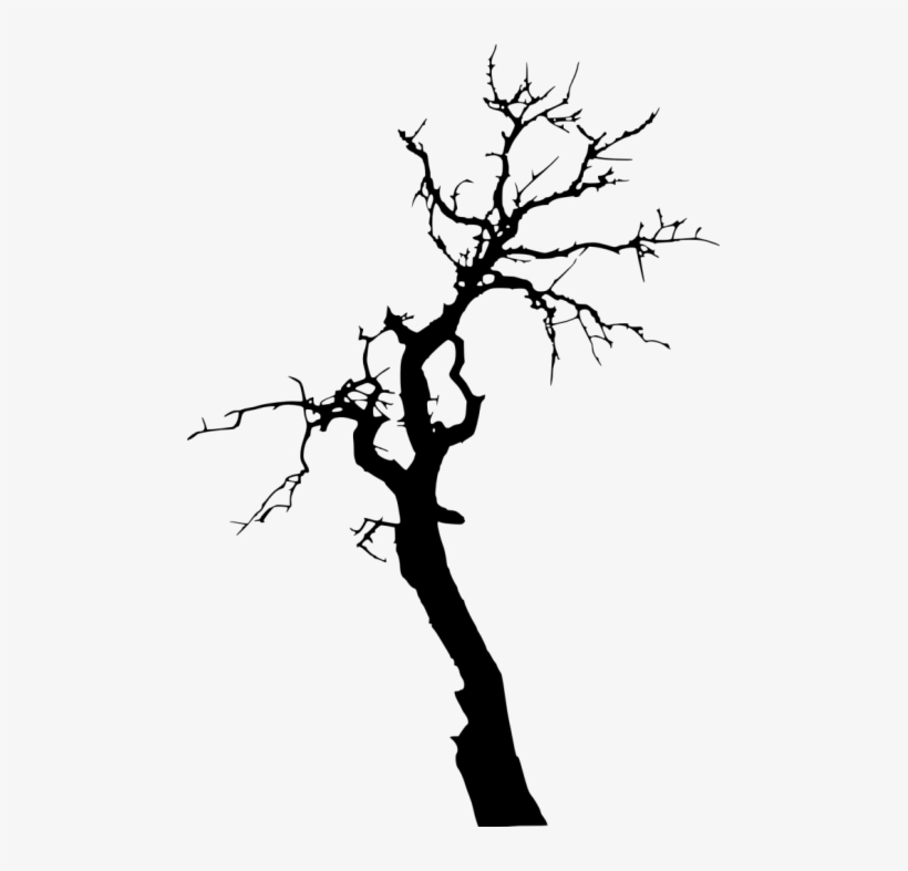 Dead Tree Silhouette Png, transparent png