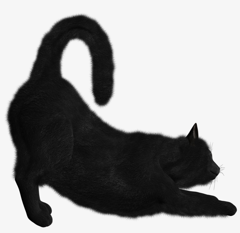 Cat Png - Dead Cat, transparent png