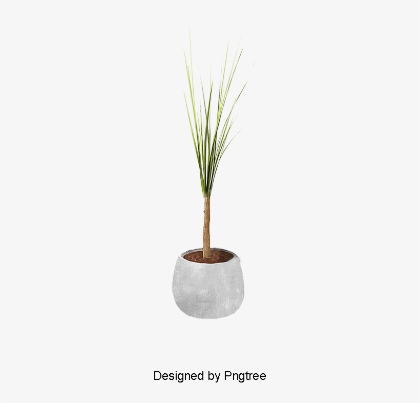 Plants, Potted, Plants, Small Potted Plants Png And - Grass, transparent png