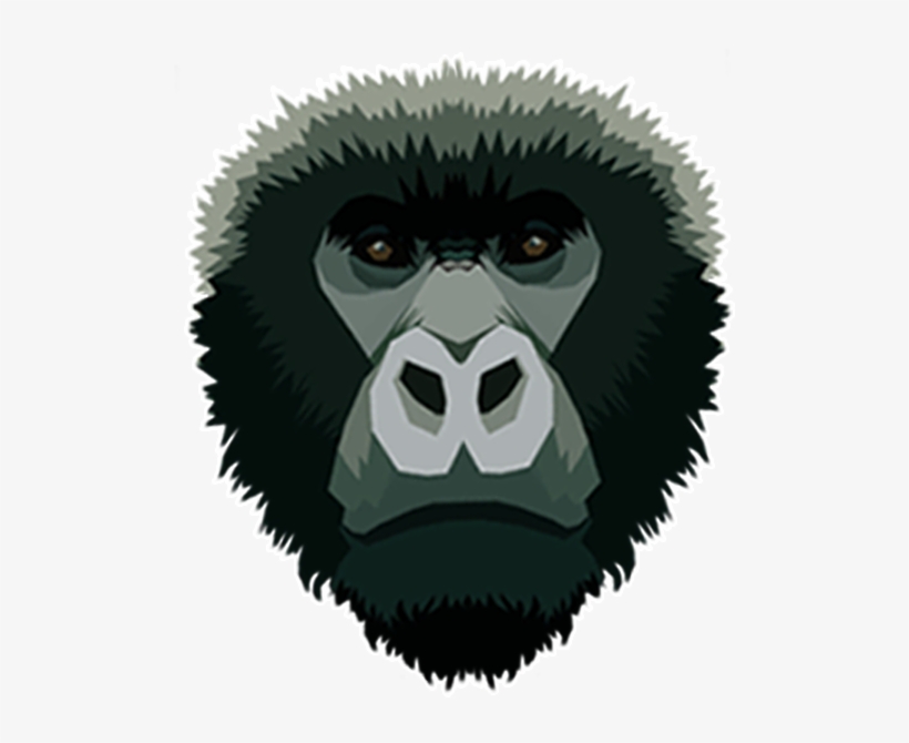 Common Chimpanzee, transparent png