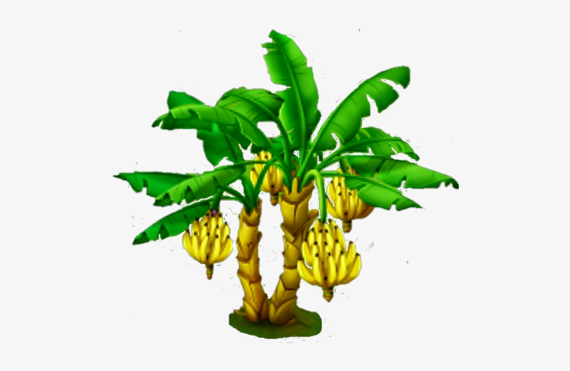 Banana Tree - Name Of Plant And Their Parts That We Eat, transparent png