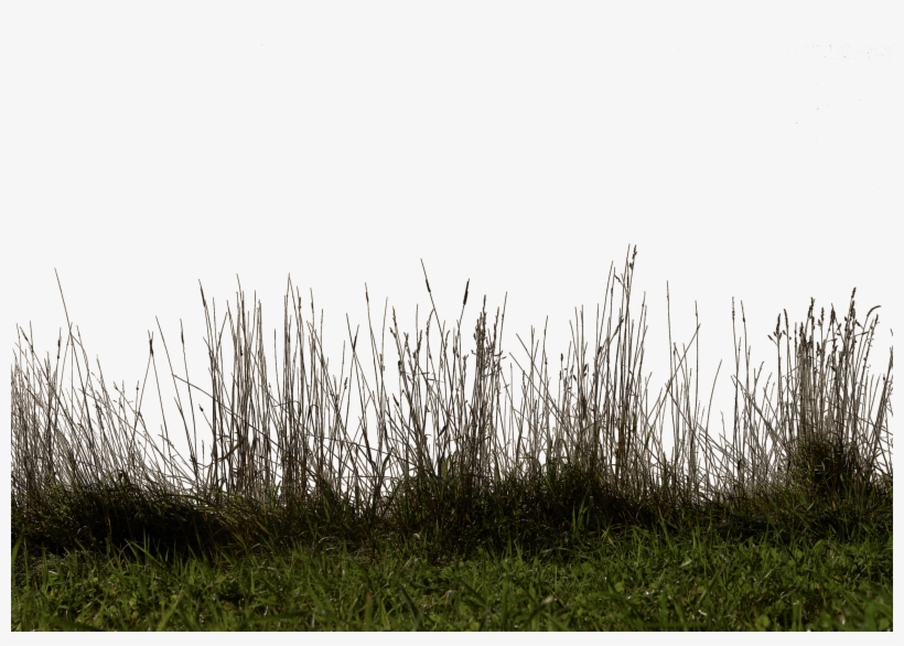 Grass And Soil Images Png Royalty Free Download - Portable Network Graphics, transparent png