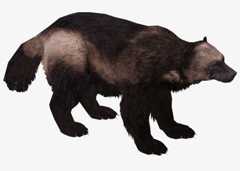 Wolverine 2 - Wolverine Zt2, transparent png