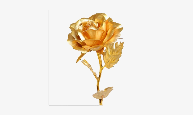 Golden Rose Png Download Image - Gift, transparent png
