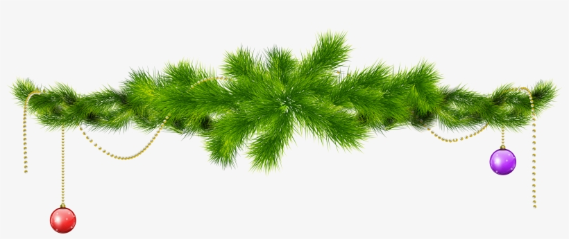 Christmas Holly Png Images Free Download Branch - Christmas Day, transparent png