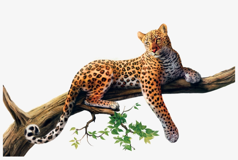 Jaguar Animal Png - Jaguar Png, transparent png