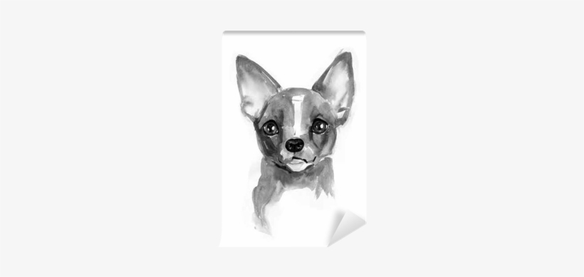 Chihuahua Dog - Chihuahua, transparent png