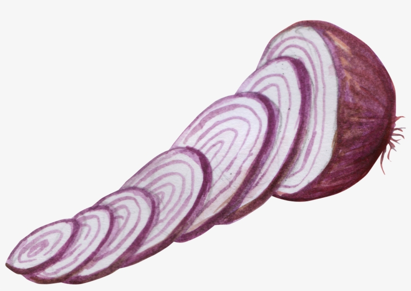 Jpg Royalty Free Download Vegetable Watercolor Painting - Cut Vegetable Painting, transparent png