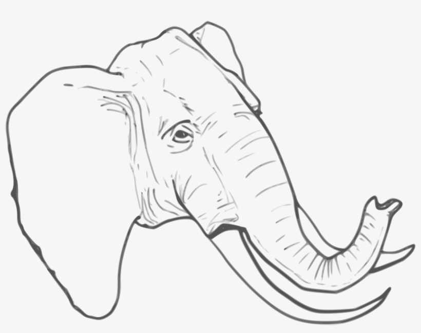 Elephant Line Art Icons Png - รูป ช้าง ลาย เส้น, transparent png