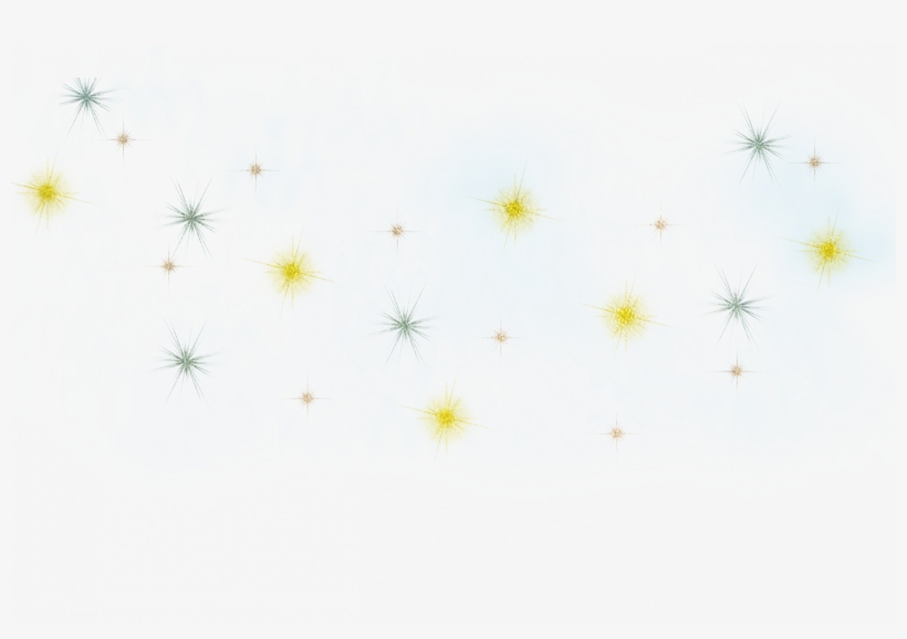 Camomile, transparent png