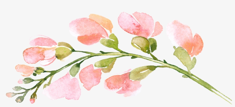 Sweetdreamselements - Pink Flower Watercolor Poster Print Wall Art Home Decor, transparent png